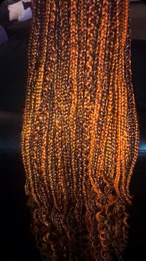Boxed Braids #colorblend | Sunshyne Lewis