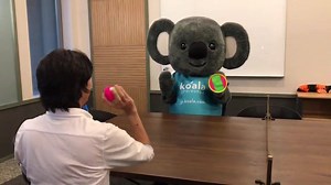 今日はココちゃんが、オフィスでお兄さんとキャッチボールをしていました⚾️⚽️ 仕事の合間に手軽に息抜きができてオススメだそうです | Koala | Facebook