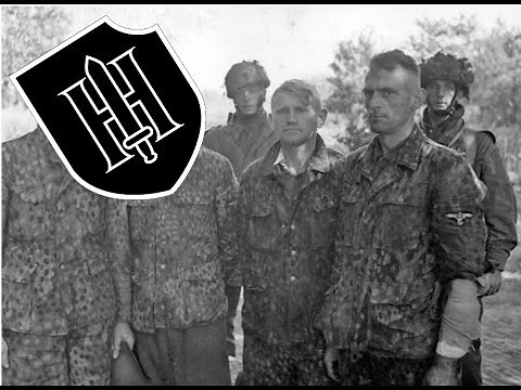 9. SS-Panzer-Division Hohenstaufen - episode 9, all waffen-SS divisions.