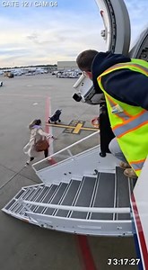 141K views · 18 reactions | Mother Sprinting Down Aircraft Stairs to Save Runaway Stroller #shorts #Sora #airport #airplane | The Pioneer Woman | Facebook