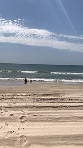 Not bad at all 🍻 | Barney Lewis