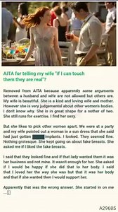 AITA 🐠 🐉 for telling my wife "if I can touch them they are real"? | Reddit Tale Collection