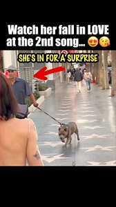 Construction Worker impresses girl with piano skills... 👀 1,000's of students have used the method below to learn their favorite songs in less than 10 minutes 👇 Have you heard of the “4 Power Chords”? (if you haven’t, you’re in for a treat… 😉) Basically, if you learn these 4 chords, you can *literally* play hundreds of songs on piano (not exaggerating here). You may have seen Ed Sheeran’s famous interview where he uses this trick to ASTOUND the audience (the video was pretty funny actually… �