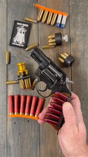 Bianchi Speed Strips