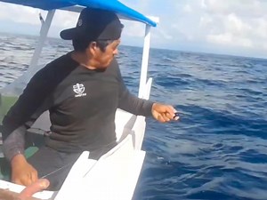 43K views · 566 reactions | fishing for ruby ​​snapper fish in the deep sea | Zami Akbar | Facebook