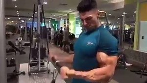 When Everyday is arms day | Lean Muscle Bound