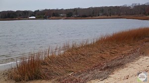 Spend a minute on this beautiful peninsula with us: http://bit.ly/2gspAia | northforker