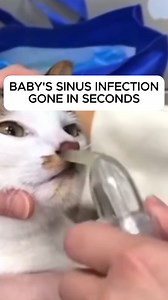 1. Nasalpump Sinus Drainer targets Baby's your Nasal Cavities 2. And uses suction to vacuum out their nose and unclog their sinuses 3. It's a simple 2-step process: 4. Simply insert into your baby's nose.. 5. And just SUCK! 6. Nasalpump has already relieved sinus congestion for for THOUSANDS of Happy Baby's! 😄 7. And we're confident it will ease your baby's nasal discomfort too 💪 8. That's why every order comes with our lifetime warranty.. 9. So you and your baby can breathe easily completely 