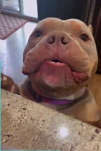 Simba snacks healthier than some people I know 🤣 | Gono Bishwabidyalay