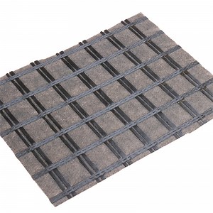 [Hot Item] Pet Geogrid Composite with Nonwoven Geotextile/Fabric