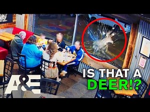 Customer Wars: Flight Diversions, Drive-Thru Drama & Public Mayhem (Season 3) *Compilation* | A&E