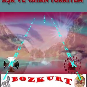 BoZKuRTLaR on Reels
