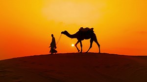Premium stock video - Cameleers, camel drivers at sunset. thar desert on sunset jaisalmer, rajasthan, india.