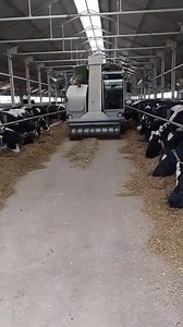 1.7K views | Bovine Wonders Unveiled Extraordinary Stories of Amazing Cows and Their Cute Calves #cows #farm | DapLifestyle2022 | Facebook