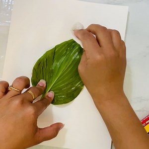 1.3K views · 39 reactions | Super cute rainbow Leaf printing for summer ... This Nature Process art creates beautiful leaf prints...Go on a nature hunt collect leafs and print them using washable markers .... | Zippi Kids Corner | Facebook