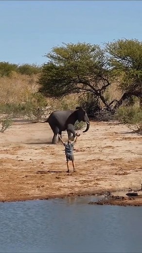 E6362Amazingly Beautiful❤️ #slingshot #slingshotride | MtSoft Solutions