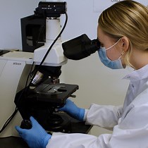 Video: 3D Culturing of Organoids from the Intestinal Villi Epithelium Undergoing Dedifferentiation