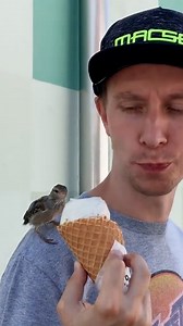 The heartwarming journey of a very special rescued sparrow 🐦❤️ | Furry Tails