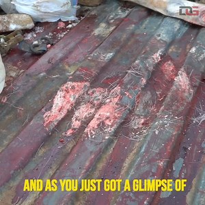 64K views · 2.2K reactions | Extreme DEEP Cleaning a Hunter's NASTY Truck! | The Detail Geek | Facebook