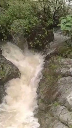 Rivers water flow #river #pani #flow #amazing #viral #view #shorts