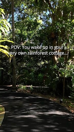 POV: Imagine waking up in paradise, cradling your partner in one arm and a steaming cup of coffee in the other. The morning sun filters through the lush canopy, casting dappled light across your private deck. Birdsong fills the air as you both savor the tranquility of the rainforest. At Lovestone Cottages, these serene mornings are yours to cherish. Reconnect with nature and each other in this secluded haven. #MorningBliss #RomanticRetreat #LovestoneCottages #NatureLovers #CoffeeWithAView | Love