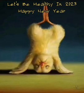 Perfect form for 2023 😂 | Angry Trini