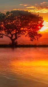 Seară binecuvântată... | Poezie și gânduri răzlețe