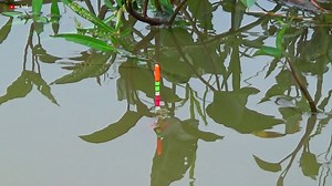 363K views · 2.5K reactions | Mancing di sungai besar joranku bergetar | Mas hend fishing | Facebook