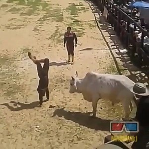 Pretty sure this is the craziest thing we’ve ever seen. 🎥: Rodeo Wrecks | Midway Holidays