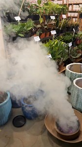 Handpicked by the Potshop team. Customized Ceramic Pots. Hot selling products. Don't miss it. Step into the Pot Shop, Injambakkam, ECR, Chennai Call: 7299073939 | The Pot Shop