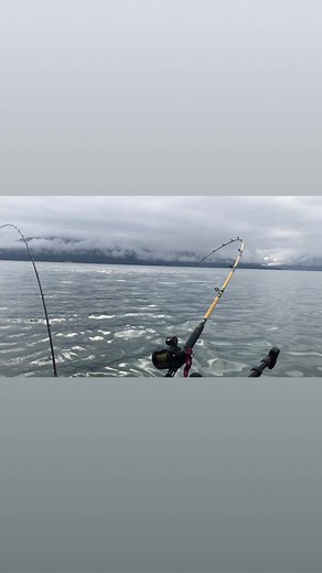 Sure missing this scene during our local heatwave! Where is you slice of fishing paradise? #hagensfish #alaska #valdez | Hagen's