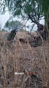 2.3K views · 17 reactions | Lone Star Outdoors Show on Reels | Facebook