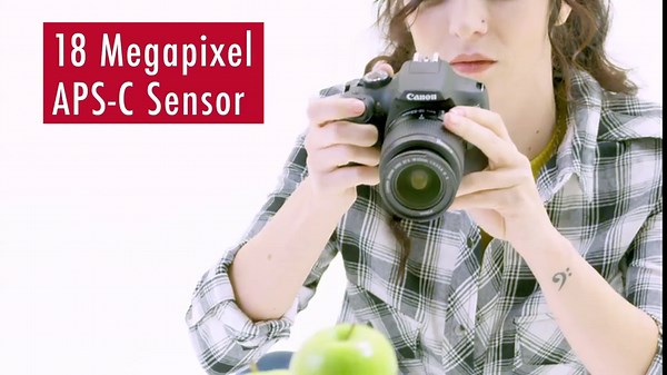 Canon EOS Rebel T6 Digital Camera: 18 Megapixel 1080p HD Video DSLR Bundle with 18-55mm &75-300mm Lenses 32GB (2 x 16GBSD Card) Flash Filter Kit & Bag - Professional Vlogging Sports & Action Cameras