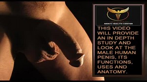 A Study of the Human Penis