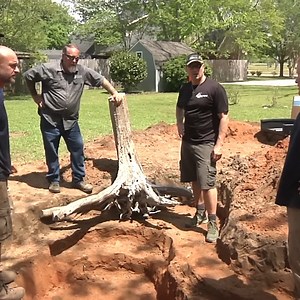 5.8K views · 55 reactions | It's hard to believe, but it's been a whole decade since we launched our first-ever YouTube series, Aquascape Pond Squad! To celebrate, we're bringing back all 7 episodes this week for a trip down memory lane. Whether you're reliving the fun or experiencing it for the first time, we know you'll love it. Catch the series promo and dive back into the action! | Greg Wittstock the Pond Guy | Facebook