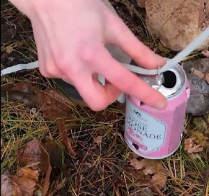 Natural repellent to protect you from insects! | Green Bean