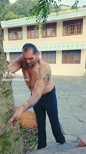 #foryoupage #foryou #bollywood | great khali