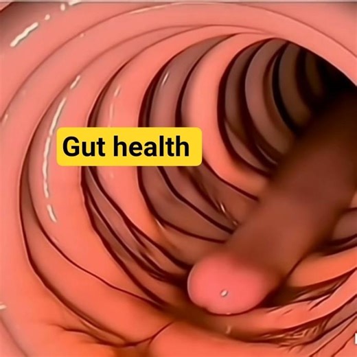 Gut Health & Intestinal Problems Explained in, Symptoms & Treatment of Digestive Disorders