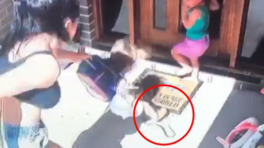 Queensland family’s terrifying brown snake encounter