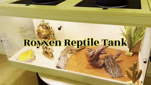 ROYXEN Bearded Dragon Tank with Leg Stand,82 Gallon Tempered Glass Reptile Tank with Metal Mesh Top, 3-Side Clear Anti-Scratch Glass Lizard Tank,Snake Tank for Reptile Habitat (Black,48" Length)