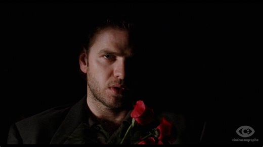 New from Cinématographe Films: A labyrinthine, erotically charged neo-noir from Academy Award nominated writer and director Mike Figgis (@TheMikeFiggis), LIEBESTRAUM is a long overlooked entry in American crime cinema of the 1990s. This tense psychological thriller is presented in its uncensored director’s cut, in a new 2K restoration from its original negatives for its world Blu-ray debut 🫀 Pre-order link in comments 🫀