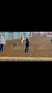 2.5K views · 87 reactions | Goat tying #goattying #rodeo #cowboy | Patton Ranch | Facebook