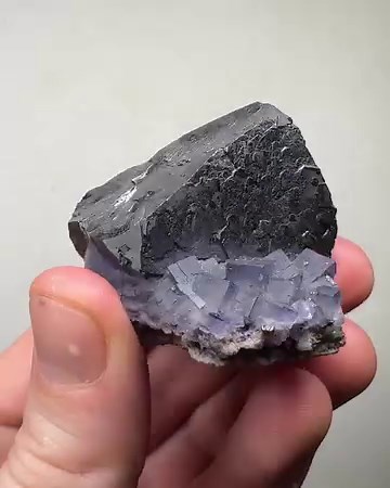 Huge galena crystal w/ modifications on fluorite cubes from the Annabel Lee mine, cave-in-rock, Hardin county, Illinois, USA 🇺🇸 available for $250 shipping (discounted from $325) | Great Northern Minerals