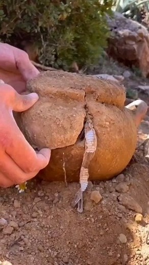 ‎.¸¸ ❝العنود❝ ¸¸.‎ on Instagram: "#ig_turkey #mutluluk #takip #aşk# #keşfet #selfie #kesfet #sunum #me #sevgi #Ina #videogames #instavideo #me #mutluluk #mutfak #chocolates #love #instafood #followme #foodporn #cleaneating #eat #cake #cupcake #family"