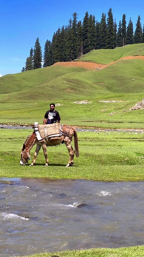 Hidden Paradise | Bangus Valley #Kashmir #offbeattravel #kashmirtourism #explorekashmir #bangusvalley | Explore Kashmir