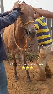 Caindo de burro engraçado bota negão 😂🤣😂 | Dinha Universo