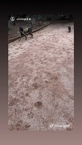 Ray Allen Manufacturing on Reels