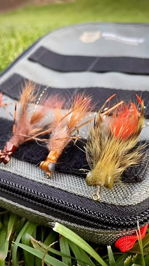 Picked up some killer crayfish patterns from our friends over at @feather_craft for a week of smallie fishing on the Black River. #smallmouthbassfishing #flyfishing | Bare Fishing Co.