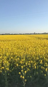 Janusz: Od samego rana nakręcamy majówkowy wypoczynek ☀️ Najlepsze przeboje już wjechały na naszą antenę 🎶 Zapraszam do 1️⃣0️⃣:0️⃣0️⃣ na wyjątkowe spotkanie z muzyką 💃🕺🏼 | WASZE RADIO
