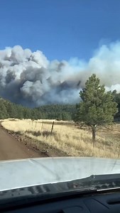 4K views · 99 reactions | Brush 34 first on scene with the size up…. HUGE. #cookspeakfire #cookspeak #lethercook #getyoursmokey_on #pulaskishovelsandmen #womenin_fire #summercamp #hellyafireseason #americaswildfires #dripandrip #turnandburn #pinchotrangers #holdthelineandburnitall #thetribeofwildlandff #ghostridersinthesky . . Footage @oofvfd 落 | Pulaski Shovels And Men | Facebook